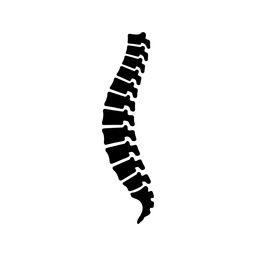 Fisiokamigauti